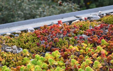 the cost of Wantage green roof installation