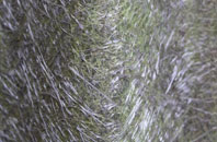 Wantage fibreglass roof work